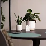 B&B Eltins 바트벤트하임