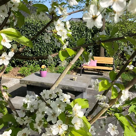 Eltins Oda ve Kahvaltı 4*