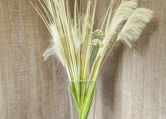 Eltins Бад-Бентхайм