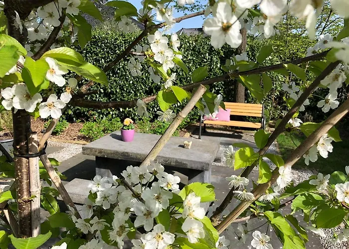 Eltins Отель типа 